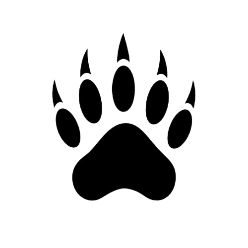 Code Badger